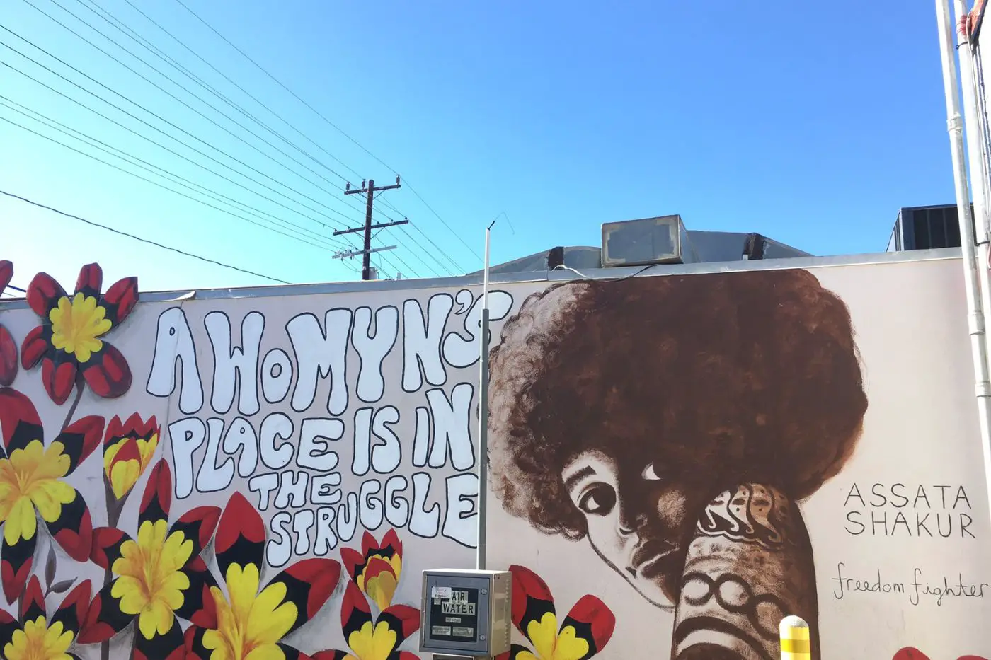 Freedom Fighter Mural in Los Angeles
